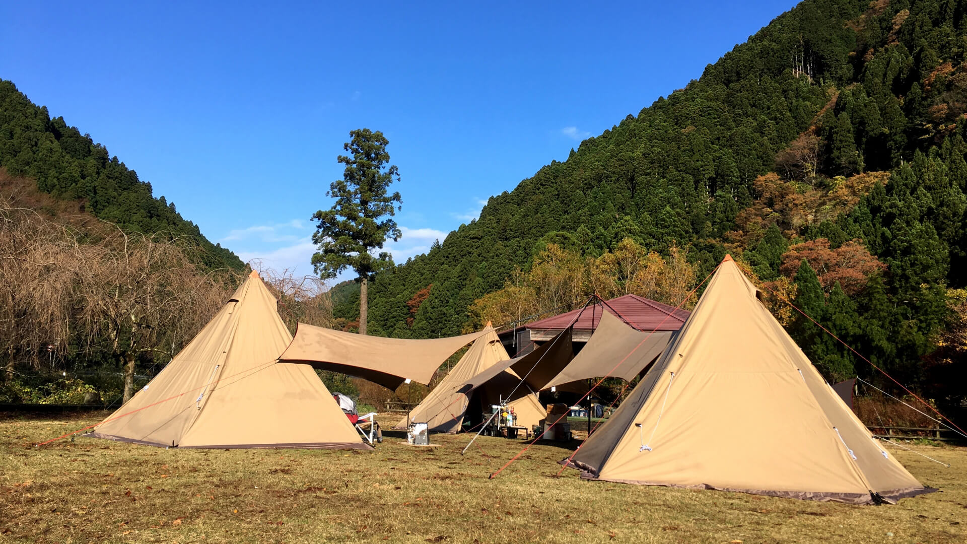 テント(4~6名様用)